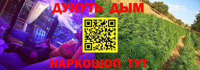 сатива Камышлов