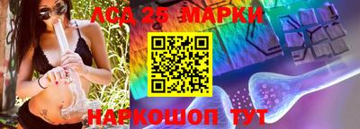 дживик Кандалакша