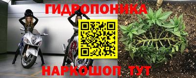 мяу мяу мука Канаш