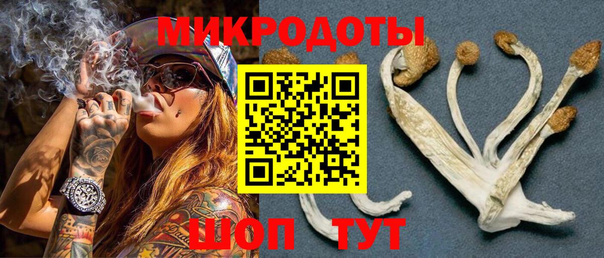 Губаха  Псилоцибиновые грибы Cubensis  Вход с VPN 